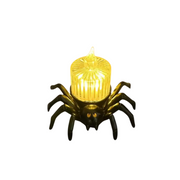 Spinne Vertikal Gestreift Licht