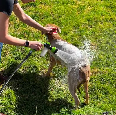 PawSplash | Tragbare & Beruhigende Hundebadewaschanlage