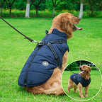 Hundejacke mit Integriertem Geschirr | Verstellbarer Wetterbeständiger Hundemantel mit D-Ring Befestigung | Spaziergänge und Outdoor | Schmid