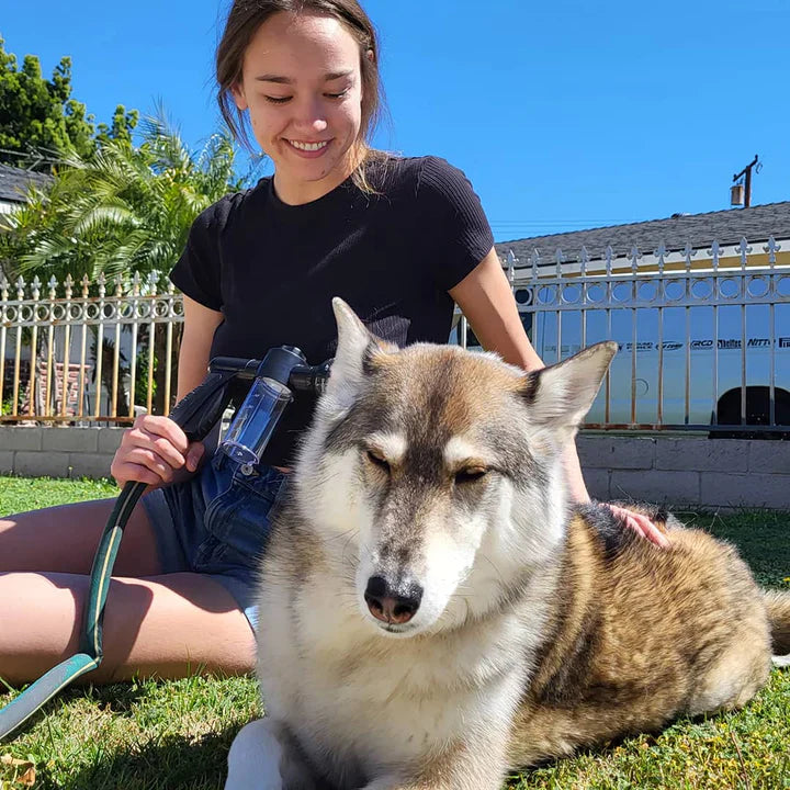 PawSplash | Tragbare & Beruhigende Hundebadewaschanlage