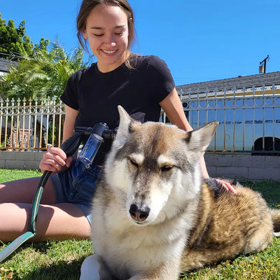 PawSplash | Tragbare & Beruhigende Hundebadewaschanlage
