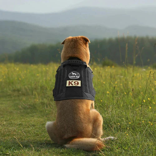 Taktische Hundeweste aus 1050D Nylon | Verstellbares No Pull Hundegeschirr mit D-Ring und Haltegriff | Training und Spaziergänge | Schmid