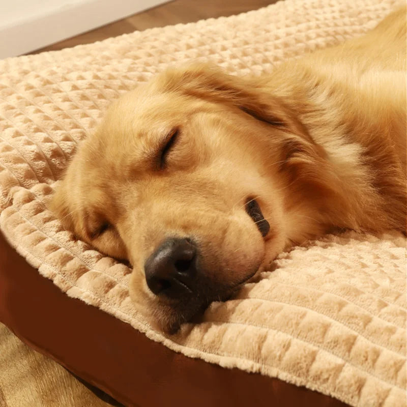 Comfycanine | ergonomischer schlafkomfort für hunde