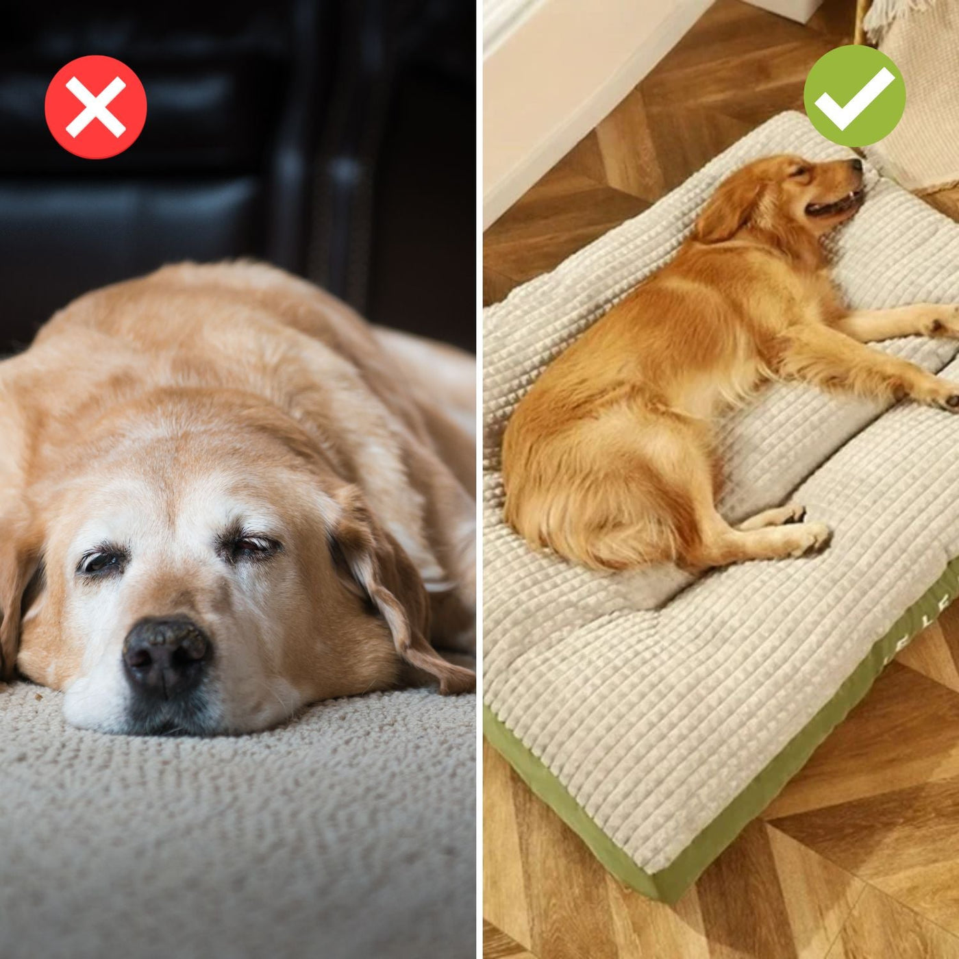 Comfycanine | ergonomischer schlafkomfort für hunde