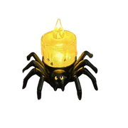 Spinne Weinendes Transparent Licht