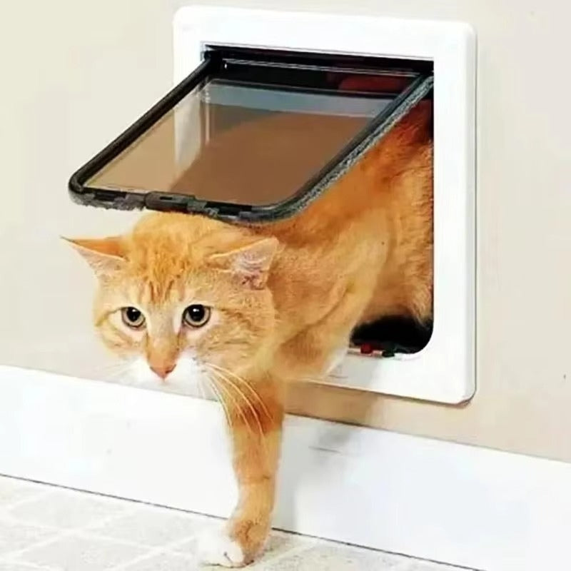 PawSafe | Katzenklappe mit 4-Wege-Verschluss für sicheren Zugang