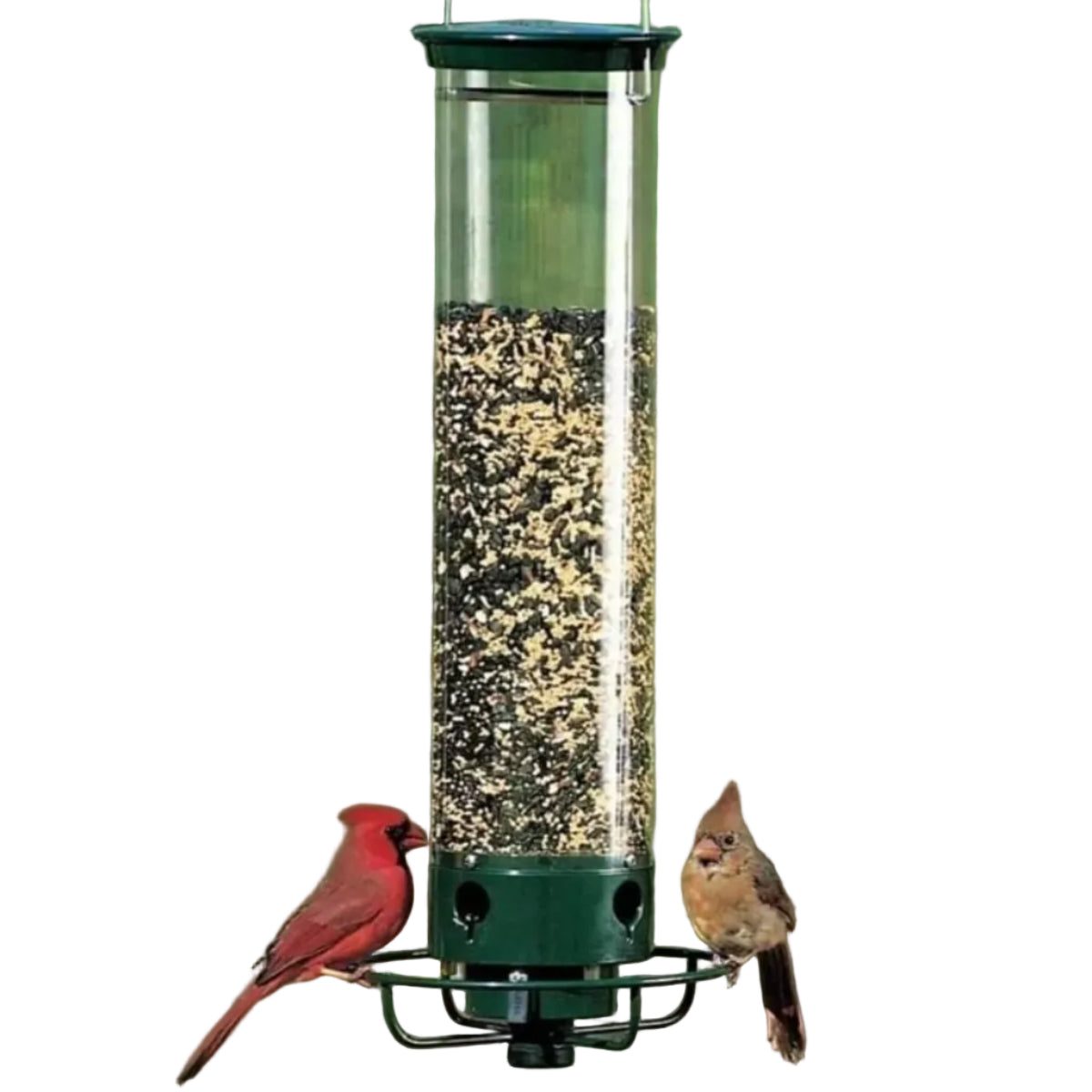 Hängender Vogelfutterspender | Vogelfutterspender aus Acryl mit 4 Sitzstangen | Für Garten und Balkon | Schmid