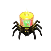Spinne Bunt Transparent Licht