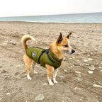 Hundejacke – Wasserabweisend, Verstellbar, für den Außenbereich