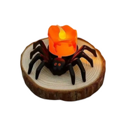 Spinne Orange Licht