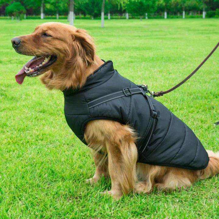 Hundejacke – Wasserabweisend, Verstellbar, für den Außenbereich