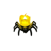 Spinne Weiß Licht