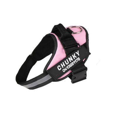 Dogsafe harness | sicherheits-hundegeschirr mit namensschild & reflektoren