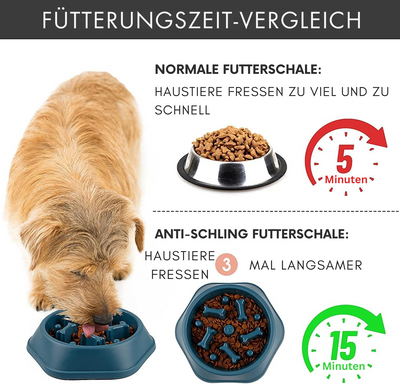 Bonebowl harmony | stilvoller anti-Schling-napf für gesundes fressen