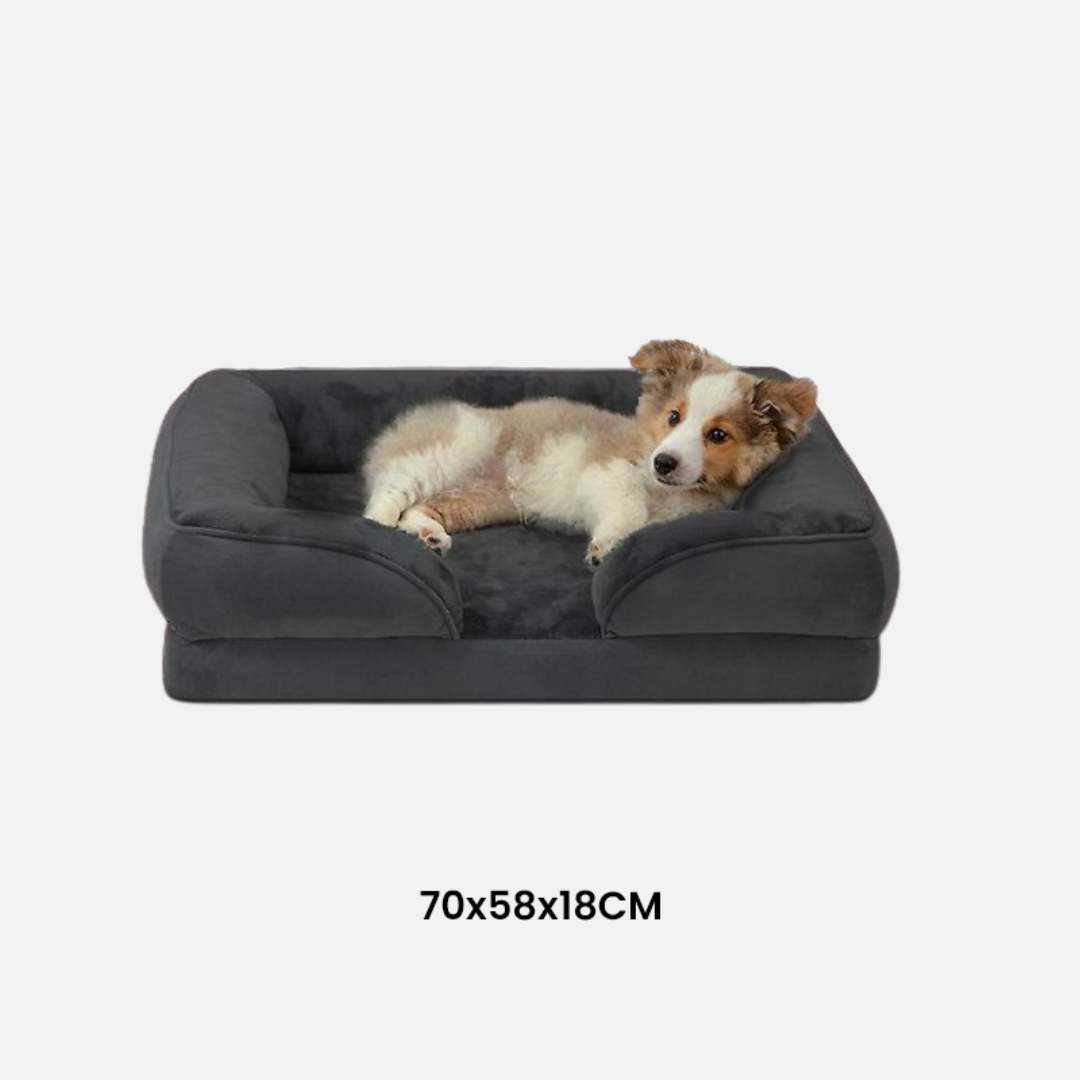 Orthopädisches hundebett | gesunder schlaf und entlastung für gelenke