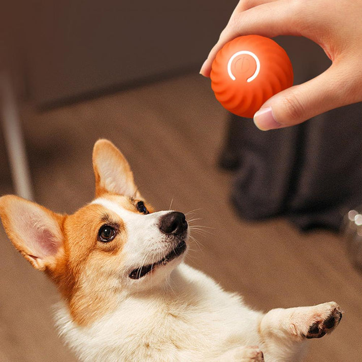 BouncyBall | Aktive Rollkugel-Spielzeuge für Hunde zur Angstbewältigung