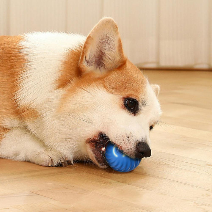 BouncyBall | Aktive Rollkugel-Spielzeuge für Hunde zur Angstbewältigung