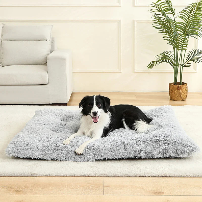 Lunanest | weiches plüsch-hundebett mit wohlfühlfaktor