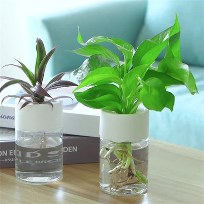 Botania | einfacher und schicker blumentopf