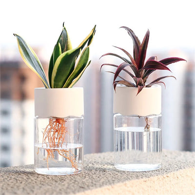 Botania | einfacher und schicker blumentopf