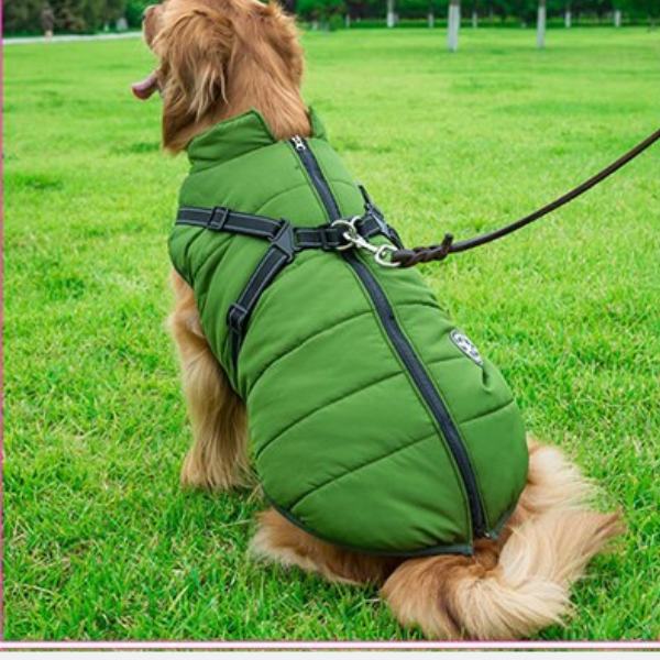 Hundejacke – Wasserabweisend, Verstellbar, für den Außenbereich