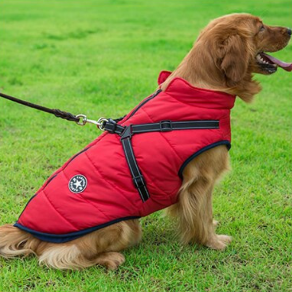 Hundejacke – Wasserabweisend, Verstellbar, für den Außenbereich