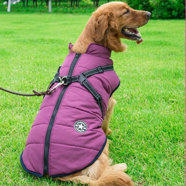 Hundejacke – Wasserabweisend, Verstellbar, für den Außenbereich