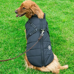 Hundejacke – Wasserabweisend, Verstellbar, für den Außenbereich