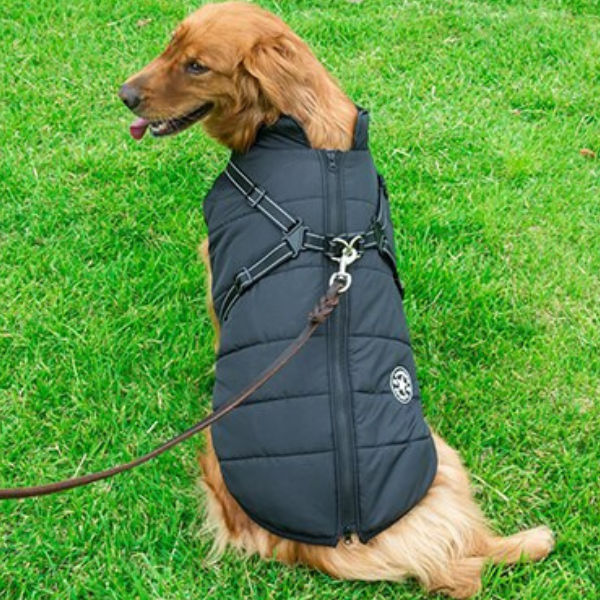 Hundejacke – Wasserabweisend, Verstellbar, für den Außenbereich