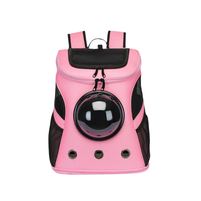 CatTrekker – Faltbare Transporttasche für Katzen mit Fenster