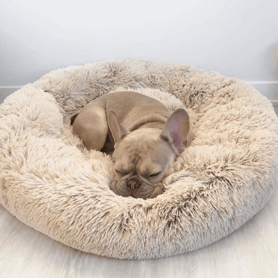 Hundebett wolke | flauschiger komfort trifft beruhigenden schlaf