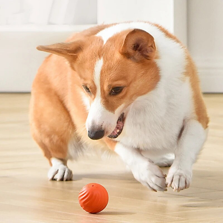 BouncyBall | Aktive Rollkugel-Spielzeuge für Hunde zur Angstbewältigung