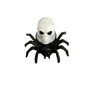 Spinne Skelett