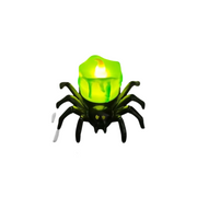 Spinne Grün Licht
