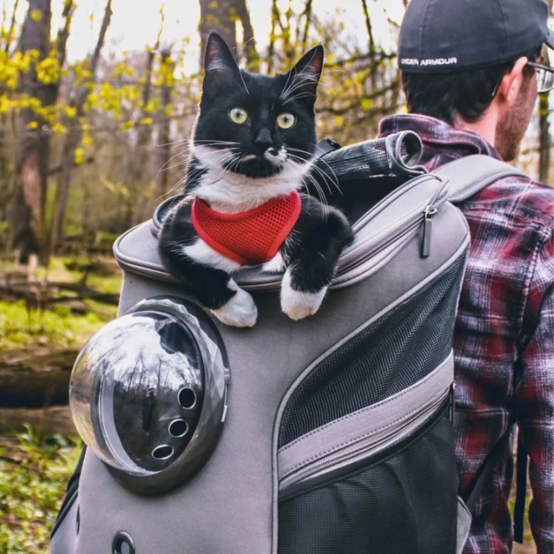 CatTrekker – Faltbare Transporttasche für Katzen mit Fenster