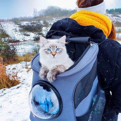 Cattrekker | faltbare katzenreistasche mit panoramafenster für stressfreies reisen