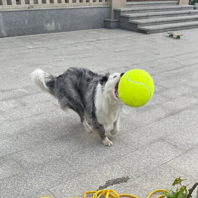 PowerFetch | Monster-Tennisball für Hunde