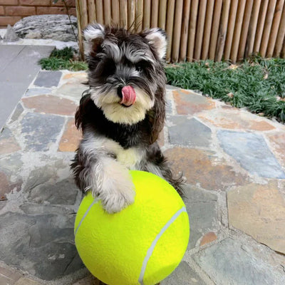 PowerFetch | Monster-Tennisball für Hunde