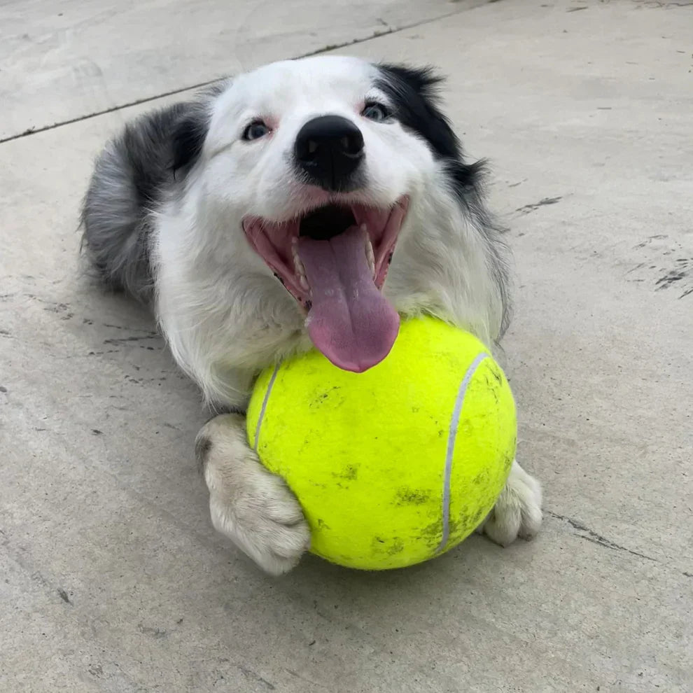 PowerFetch | Monster-Tennisball für Hunde