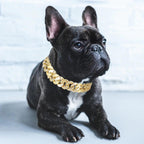 BlingBling – Metall‑Hundekette